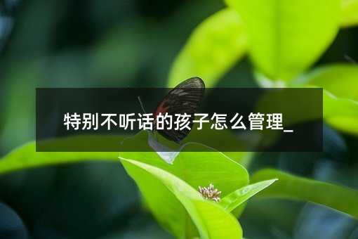 特別不聽話的孩子怎么管理_