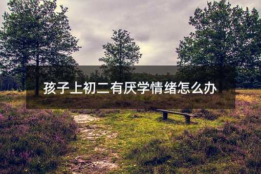 孩子上初二有厭學情緒怎么辦