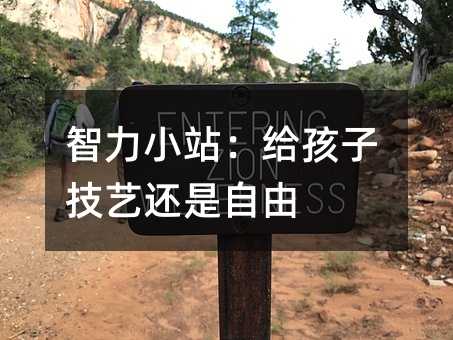 智力小站:給孩子技藝還是自由