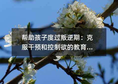 幫助孩子度過叛逆期:克服干預(yù)和控制欲的教育方法