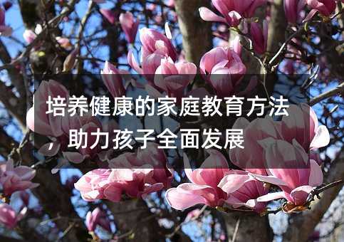 培養(yǎng)健康的家庭教育方法,助力孩子全面發(fā)展