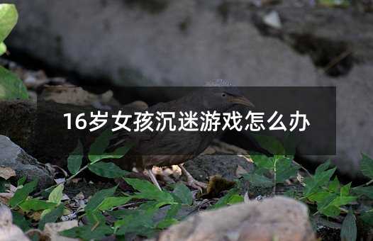 16歲女孩沉迷游戲怎么辦