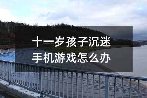 十一歲孩子沉迷手機(jī)游戲怎么辦
