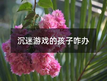 沉迷游戲的孩子咋辦