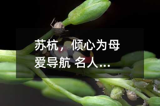 蘇杭,傾心為母愛(ài)導(dǎo)航 名人家教