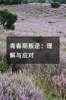 ഺ棺c(yng)(du)
