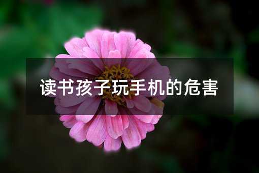 讀書孩子玩手機的危害