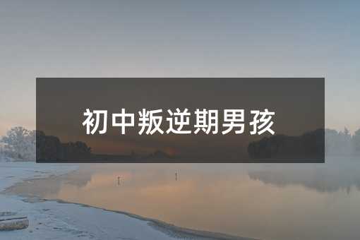 初中叛逆期男孩
