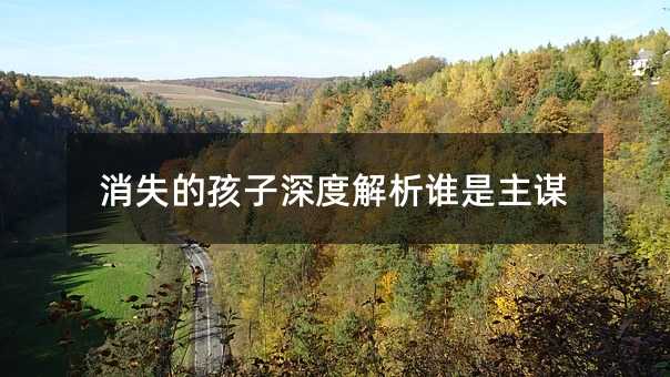 消失的孩子深度解析誰(shuí)是主謀