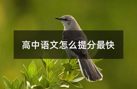 高中語文怎么提分最快