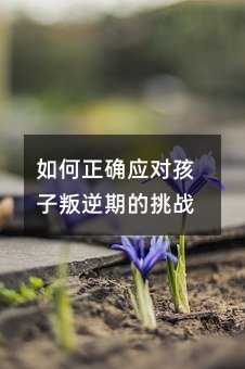 如何正確應對孩子叛逆期的挑戰