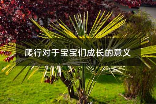 ���Ќ��ڌ��������L�����x