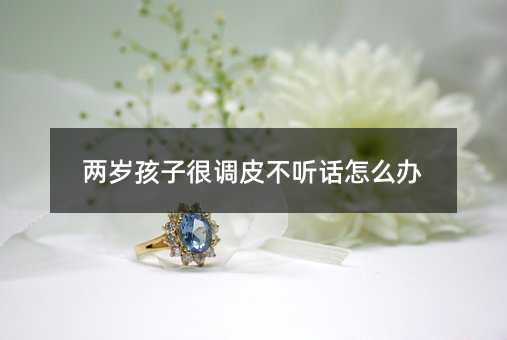 兩歲孩子很調皮不聽話怎么辦