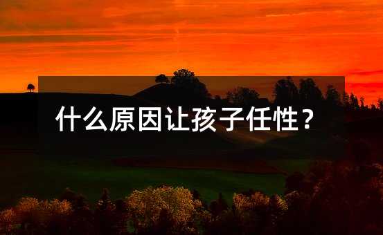 什么原因讓孩子任性?