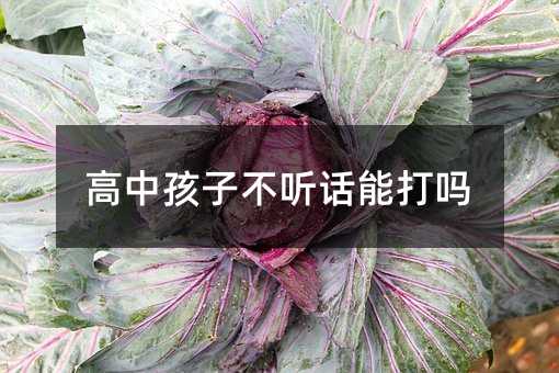 кӲ Ԓܴ