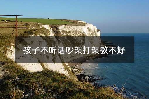 孩子不聽(tīng)話吵架打架教不好