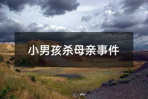 小男孩殺母親事件