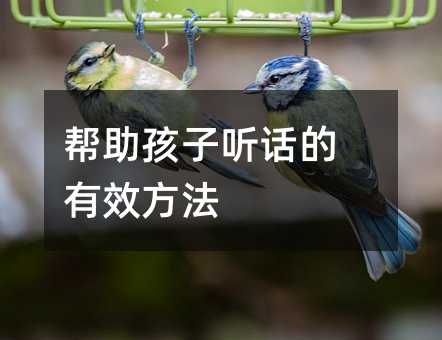  ԒЧ