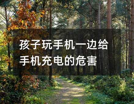 孩子玩手機(jī)一邊給手機(jī)充電的危害