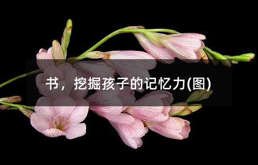書,挖掘孩子的記憶力(圖)