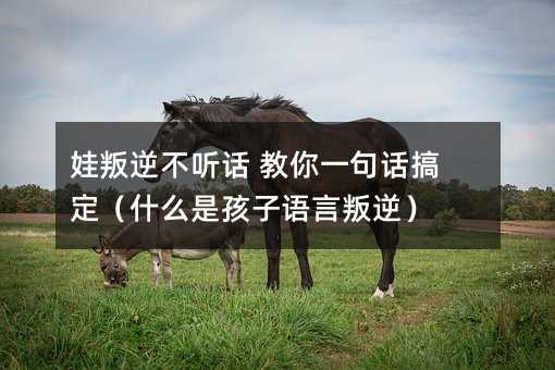 娃叛逆不聽話 教你一句話搞定(什么是孩子語言叛逆)
