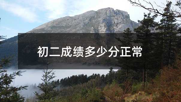 初二成績多少分正常