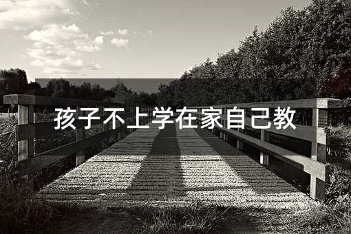 孩子不上學(xué)在家自己教