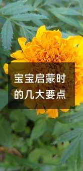寶寶啟蒙時的幾大要點