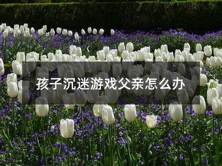 孩子沉迷游戲父親怎么辦