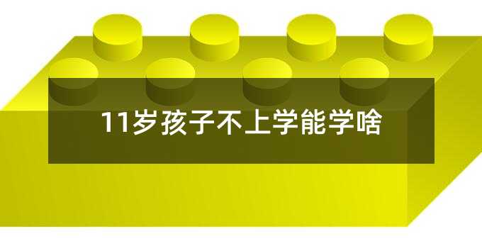 11歲孩子不上學能學啥