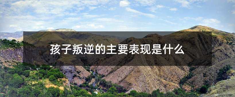 ҪF(xin)ʲô