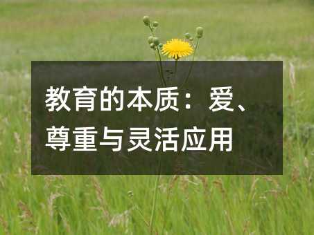 教育的本質:愛、尊重與靈活應用