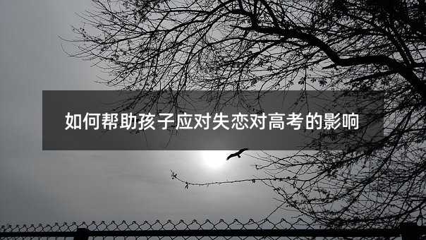 如何幫助孩子應對失戀對高考的影響
