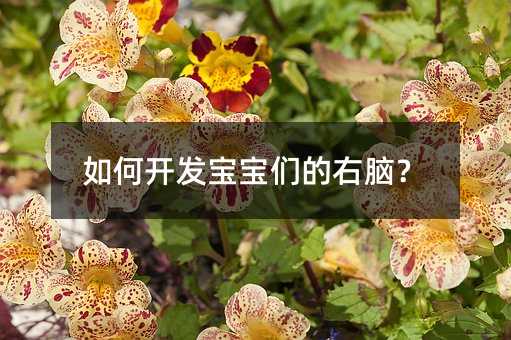 如何開發寶寶們的右腦?