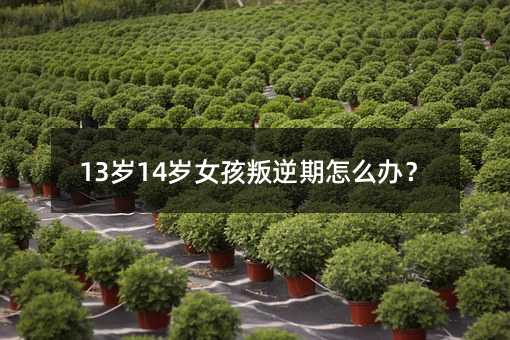 13歲14歲女孩叛逆期怎么辦?