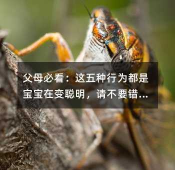 父母必看:這五種行為都是寶寶在變聰明,請不要錯怪他!