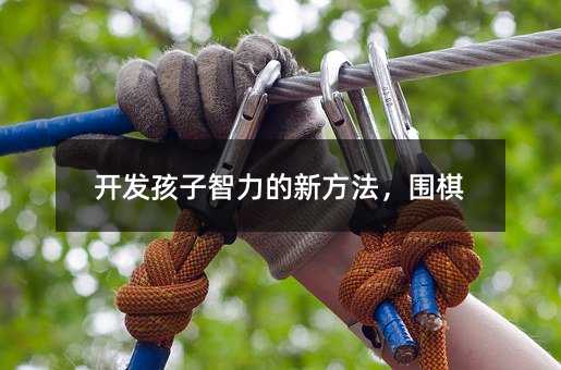 開發孩子智力的新方法,圍棋