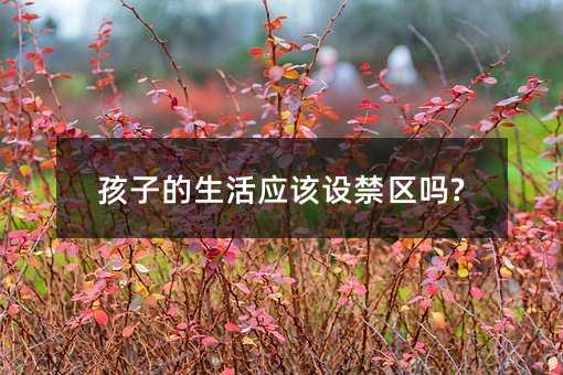 孩子的生活應該設禁區嗎?