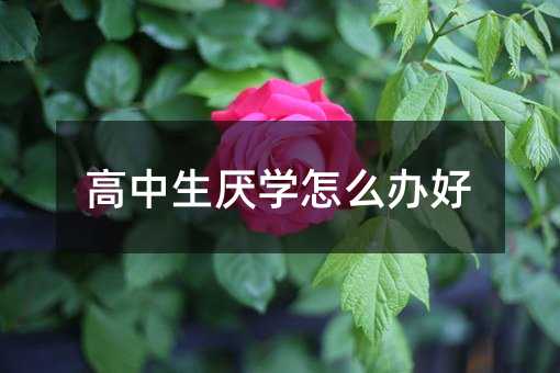 Wôk