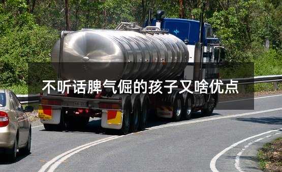不聽話脾氣倔的孩子又啥優點