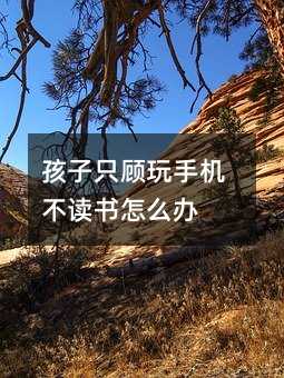 孩子只顧玩手機不讀書怎么辦