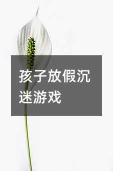 孩子放假沉迷游戲