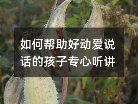 ΎÄӐfԒĺӌ v