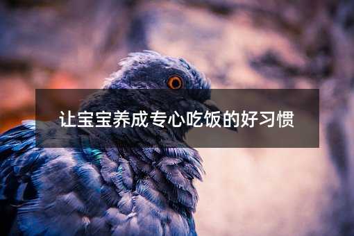 讓寶寶養成專心吃飯的好習慣