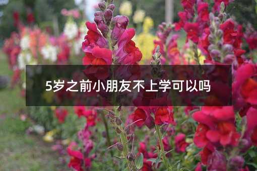 5歲之前小朋友不上學可以嗎