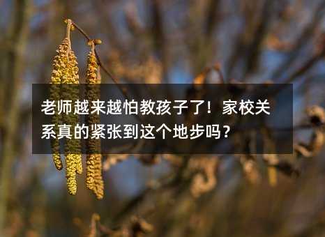 老師越來越怕教孩子了!家校關系真的緊張到這個地步嗎?