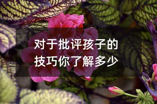 uӵļ˽