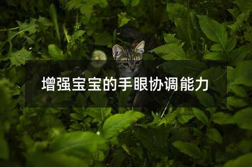 增強(qiáng)寶寶的手眼協(xié)調(diào)能力