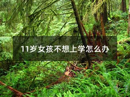 11歲女孩不想上學怎么辦