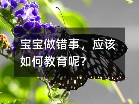 寶寶做錯事,應該如何教育呢?